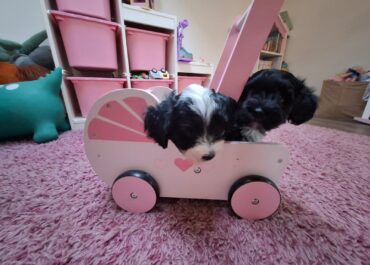 viber_image_2026-03-11_17-04-37-728