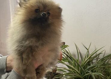 viber_image_2026-02-28_17-57-13-378