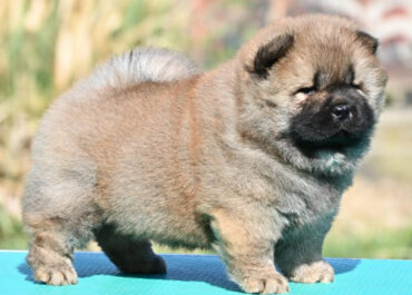 03e29cf5-151c-49d1-9388-772c0cd2681e