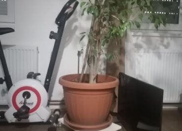 IMG-2bc05713da3c3ce7a54a222ff50223d4-V