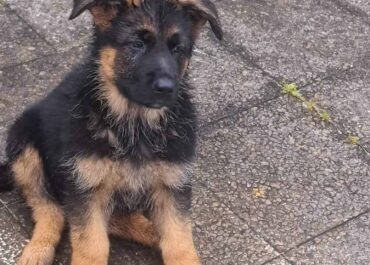 viber_image_2026-03-03_18-57-55-870