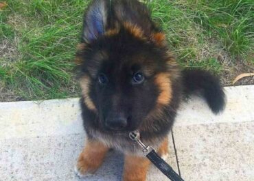 viber_image_2026-03-03_18-59-36-417-1024x1020-1