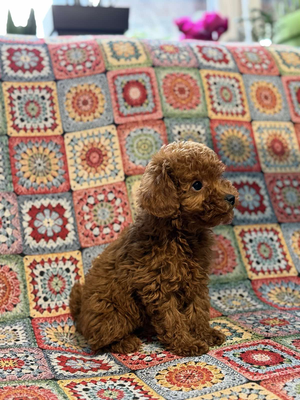 viber_image_2026-01-26_15-57-57-449