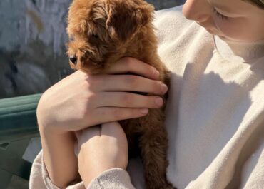 aviber_image_2026-03-10_19-17-31-126