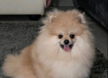 viber_image_2026-02-28_19-48-59-454