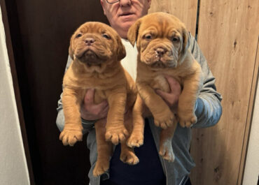 0b7113be-b034-4d87-b542-3f74f0b7385c-768x1024-1