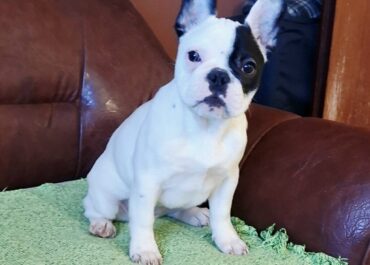 viber_image_2026-02-27_18-18-43-808-1024x1007-1