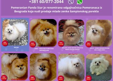 viber_image_2026-06-07_16-00-33-931