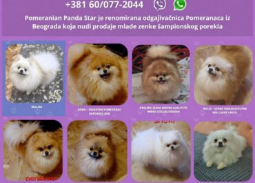 viber_image_2026-08-22_16-15-36-309