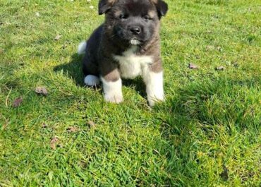 7e76d9ba-a1b7-4d85-88bd-85fbf4f404ad