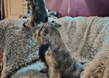 2abb0ac3-9ec4-475b-ac13-d20bbadcf462