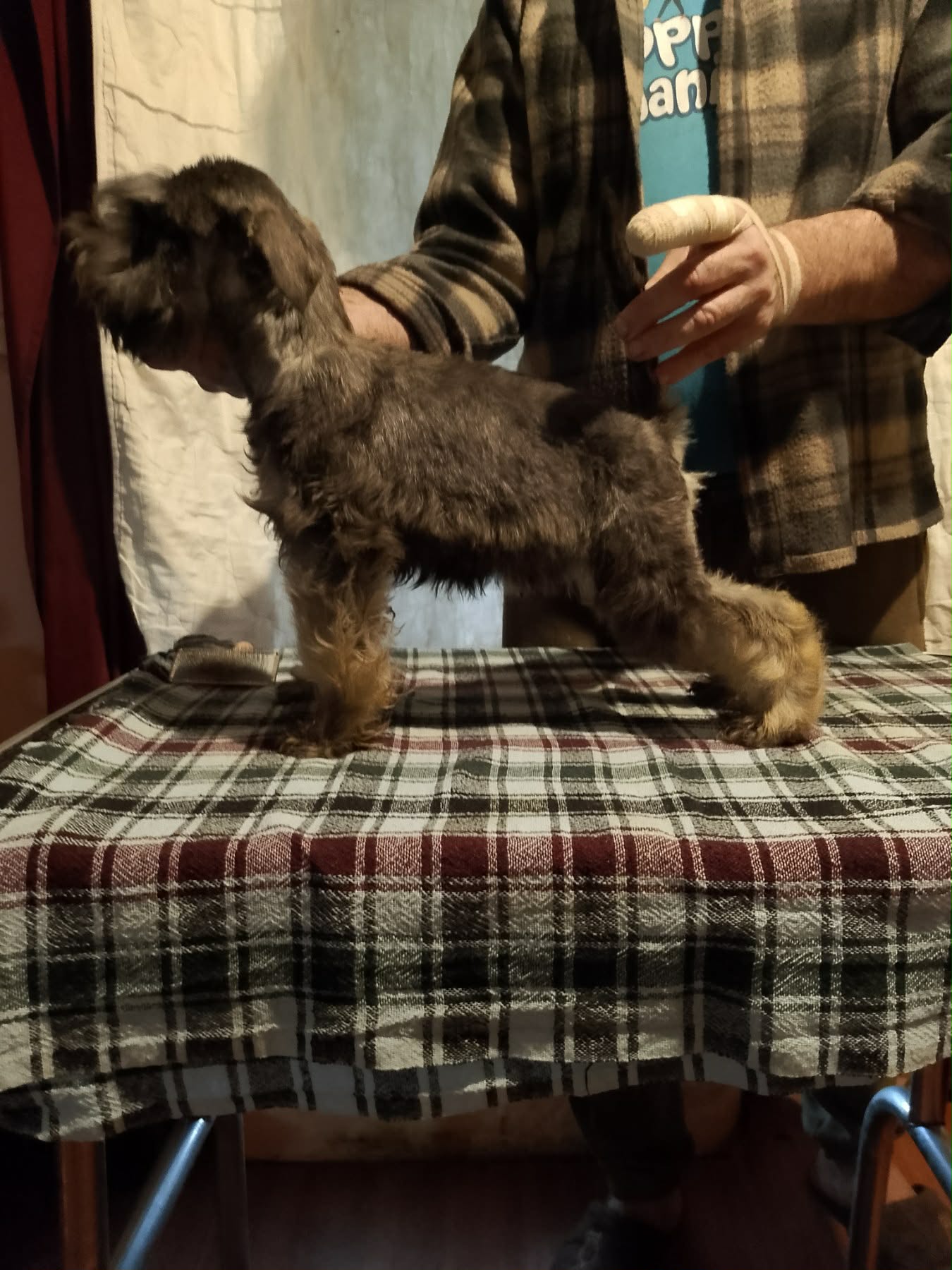 55c0022c-901a-4faf-85f4-fc2086aa6bf6