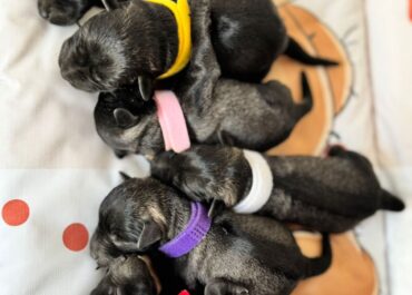 viber_image_2026-03-24_16-04-54-769