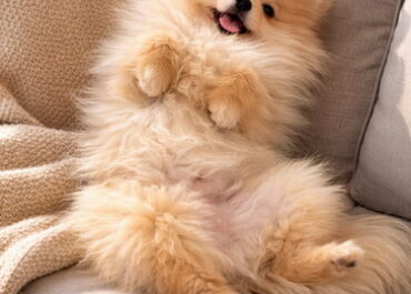 001-viber_slika_2026-04-14_12-57-34-075-manja