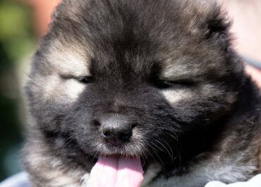 viber_image_2026-04-08_11-49-46-015