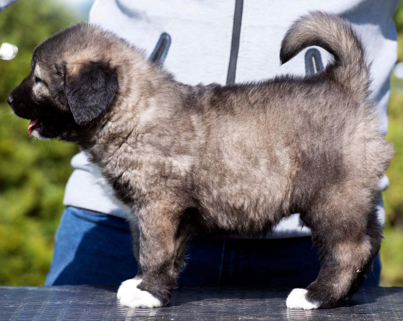 viber_image_2026-04-08_11-49-46-118