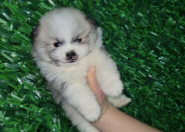 01ec8e4b-4a99-4a17-83a0-2e03459da6af