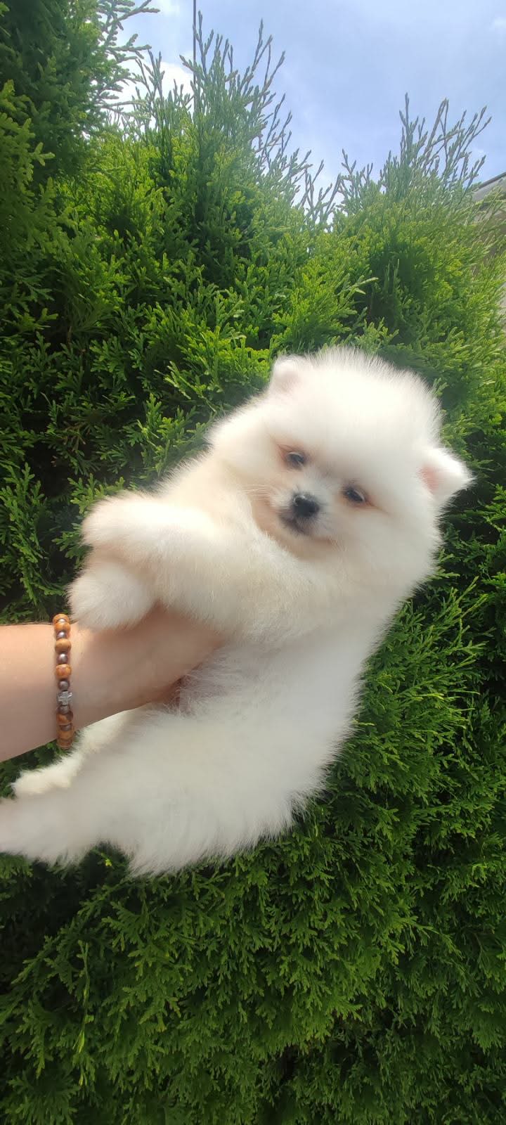 5dfe4fcd-84dc-4b7b-80ad-4fc8ee672065