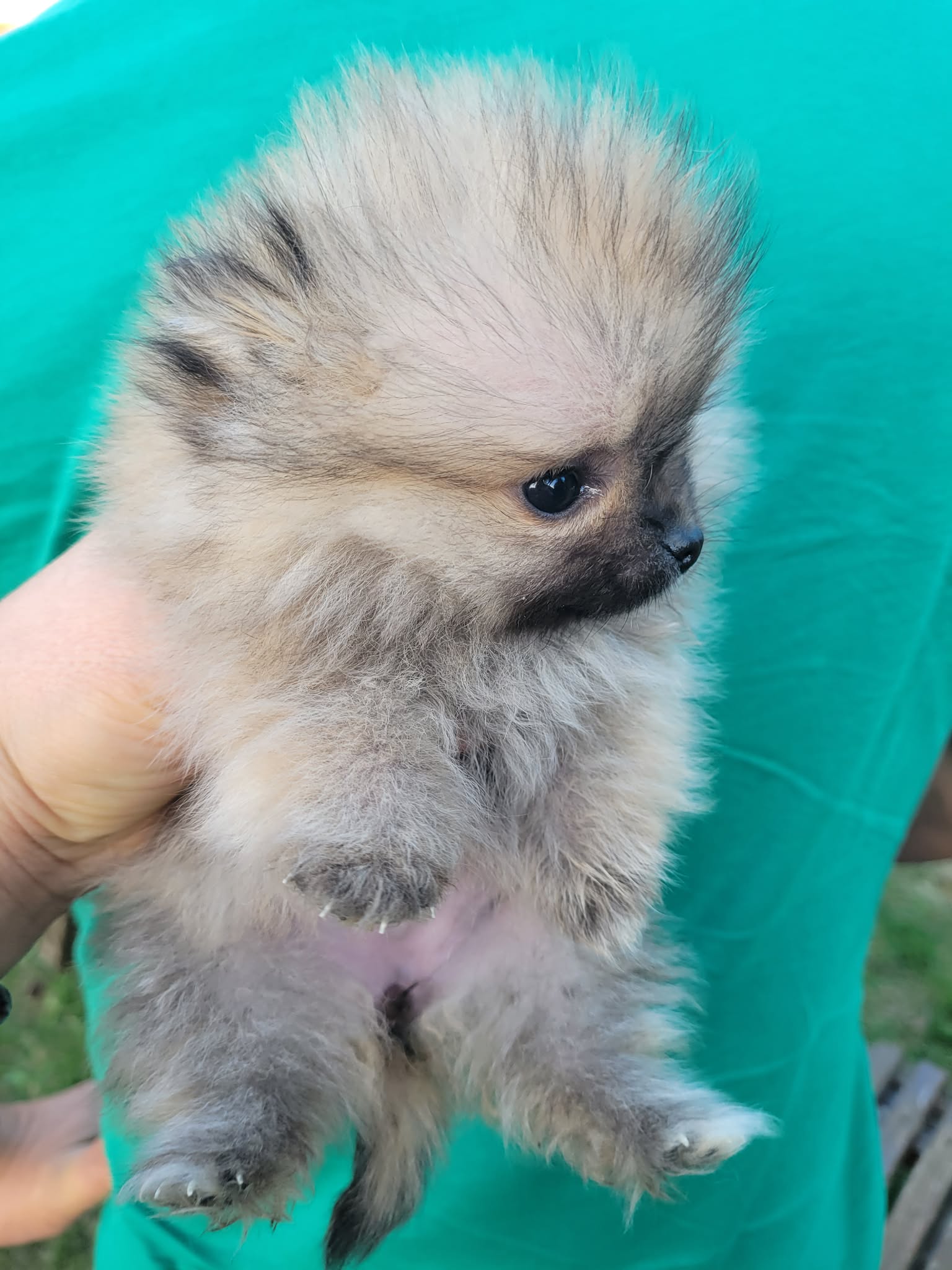 c7d42c29-7969-47ef-aa48-8100efe1e8dd