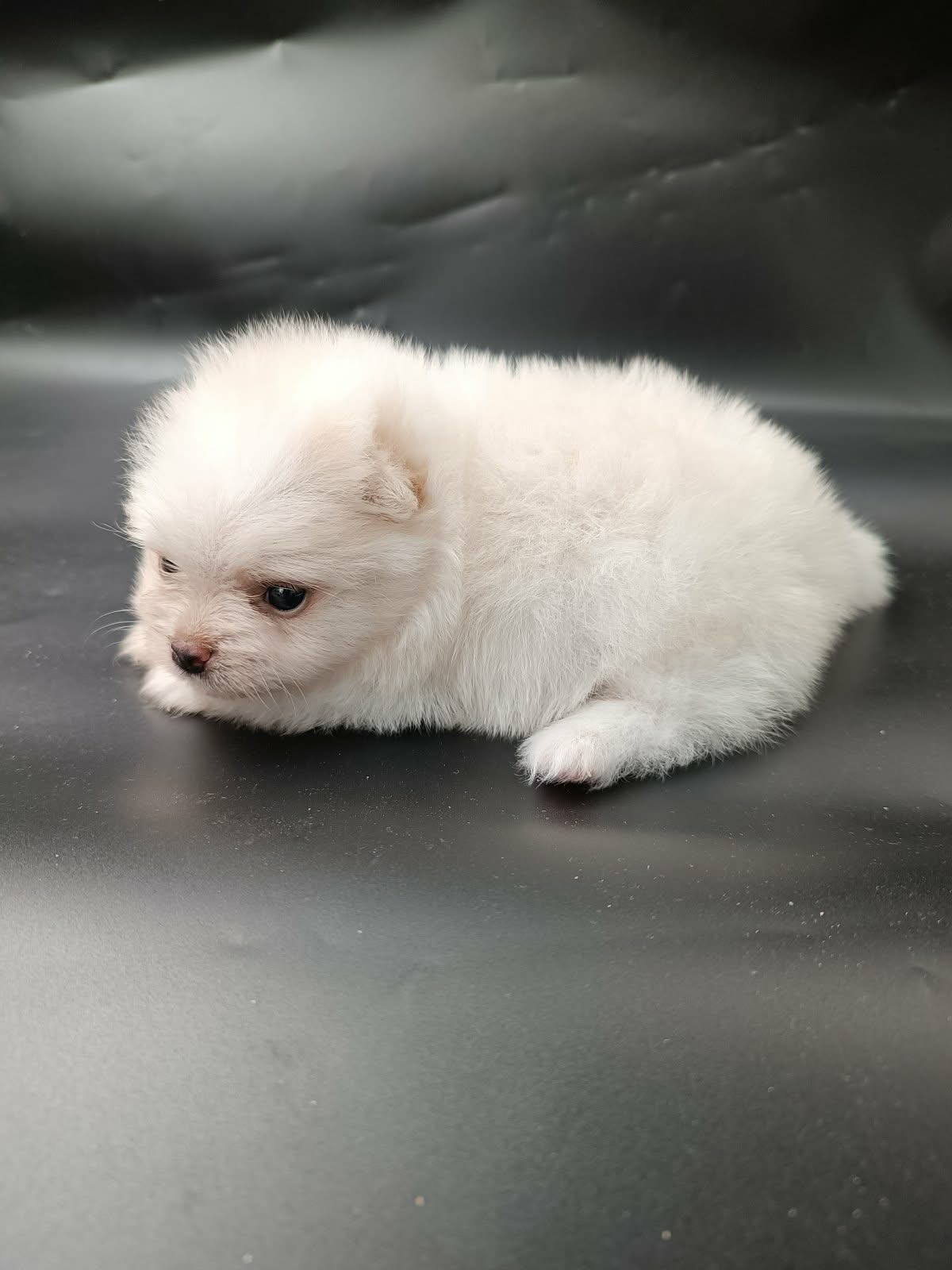 ff43ac39-19ff-47d7-a1df-4b35a4b156e9